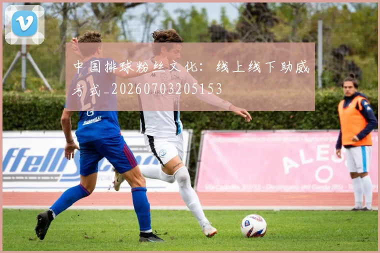 中国排球粉丝文化：线上线下助威方式_20260703205153